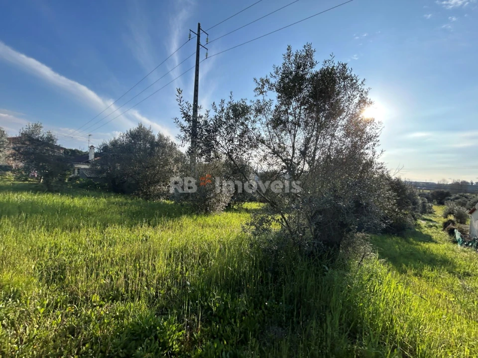 Terreno para Venda em São Pedro de Tomar Foto 9
