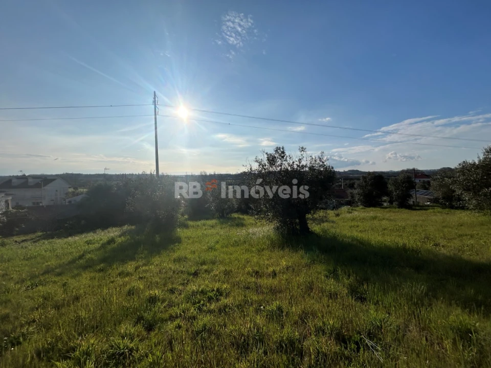 Terreno para Venda em São Pedro de Tomar Foto 2