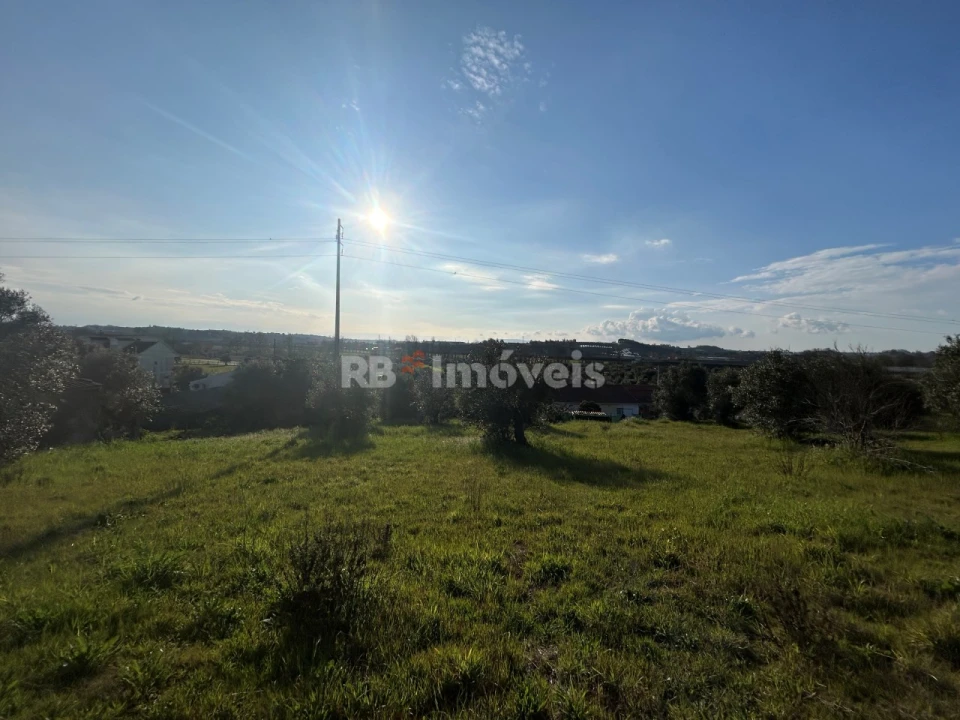 Terreno para Venda em São Pedro de Tomar Foto 3