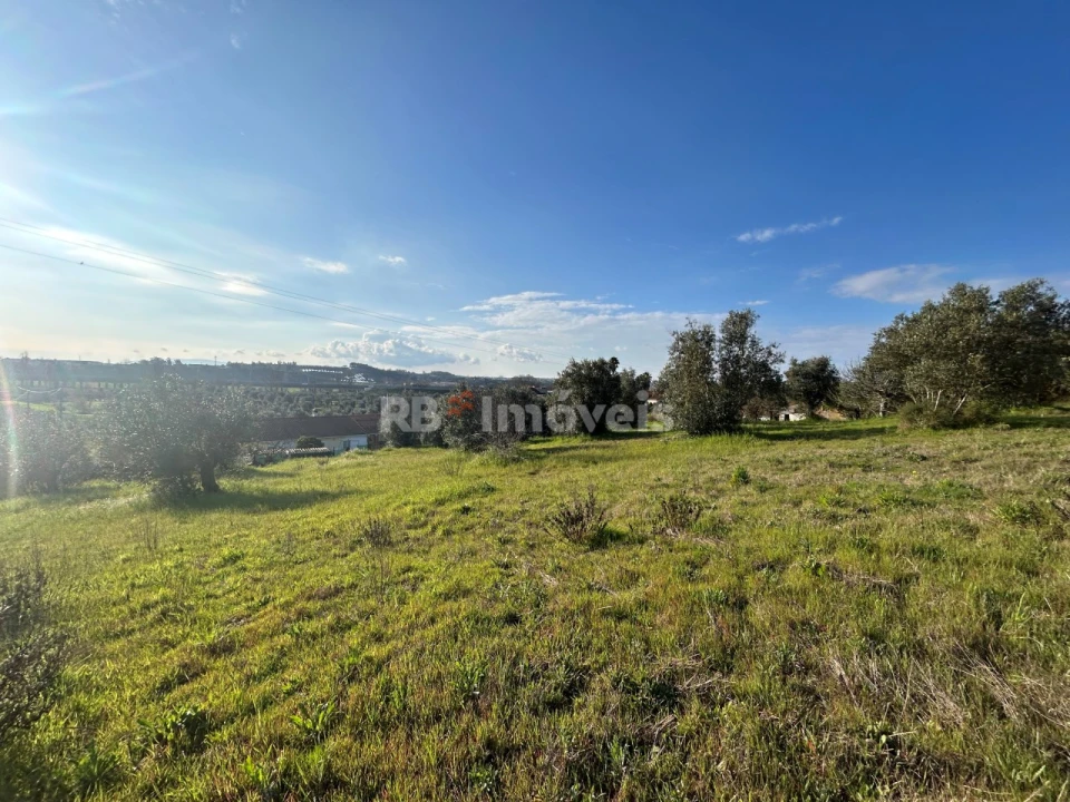 Terreno para Venda em São Pedro de Tomar Foto 4