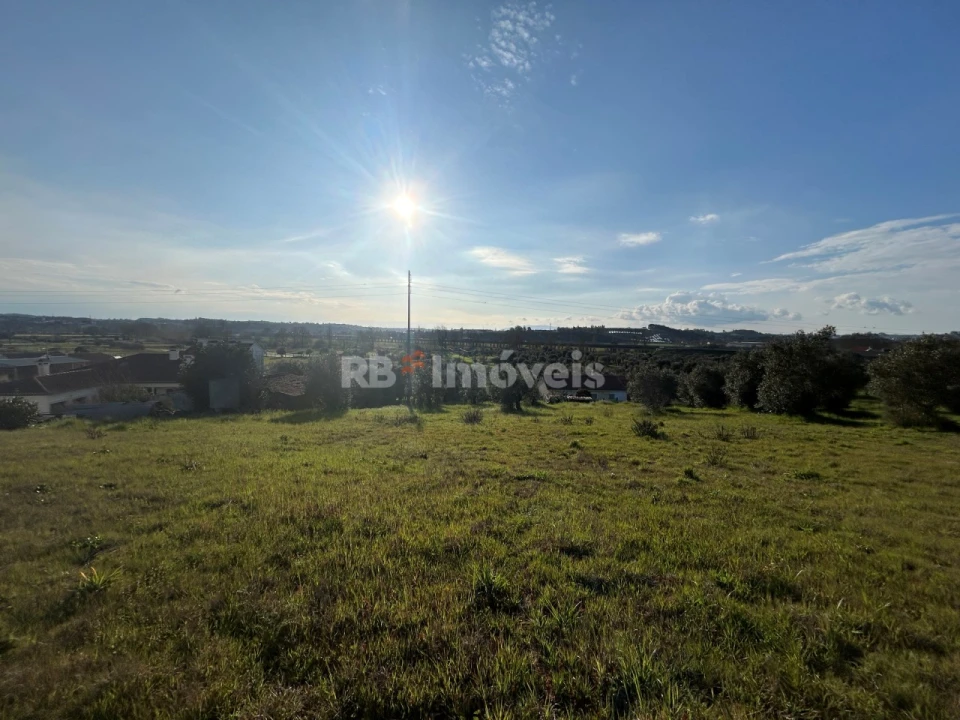 Terreno para Venda em São Pedro de Tomar Foto 11