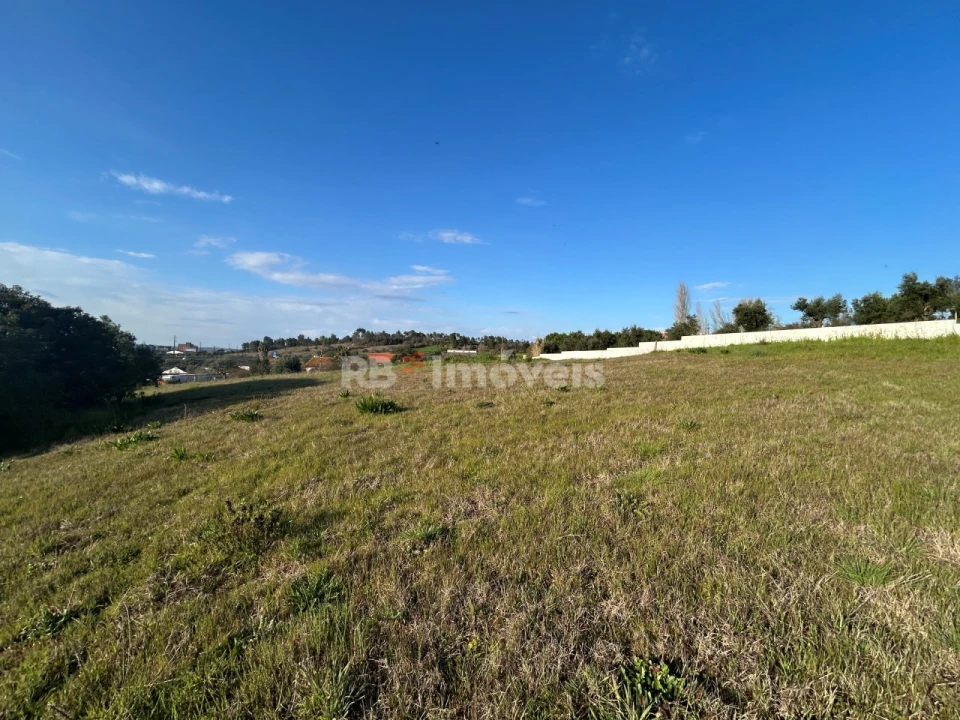 Terreno para Venda em São Pedro de Tomar Foto 12