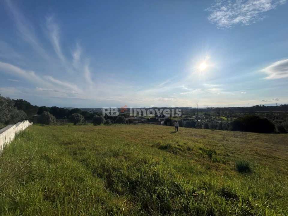 Terreno para Venda em São Pedro de Tomar Foto 16