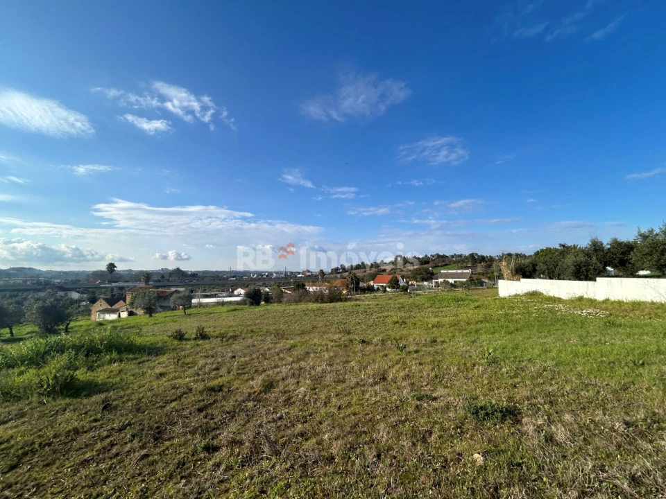 Terreno para Venda em São Pedro de Tomar Foto 23