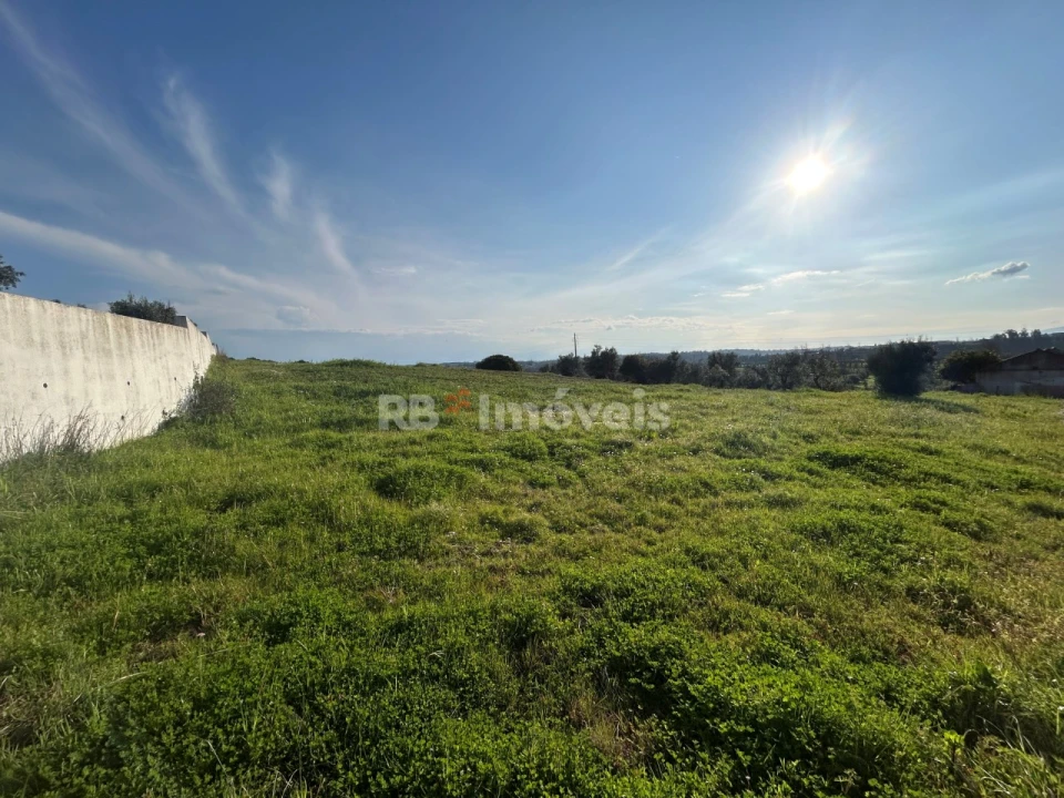 Terreno para Venda em São Pedro de Tomar Foto 26