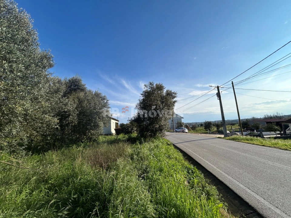 Terreno para Venda em São Pedro de Tomar Foto 27