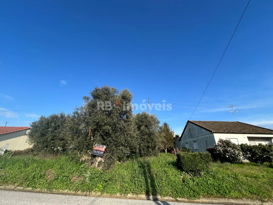 Terreno para Venda em São Pedro de Tomar Foto 28