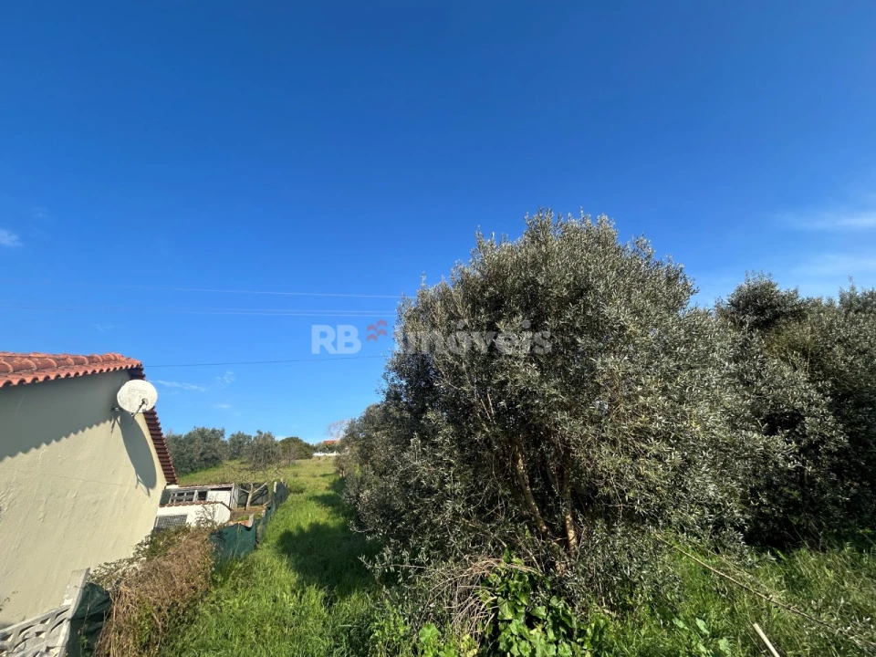 Terreno para Venda em São Pedro de Tomar Foto 29
