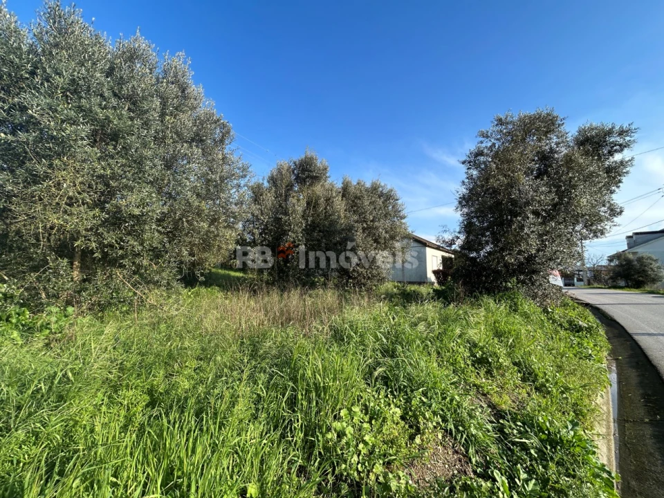 Terreno para Venda em São Pedro de Tomar Foto 30