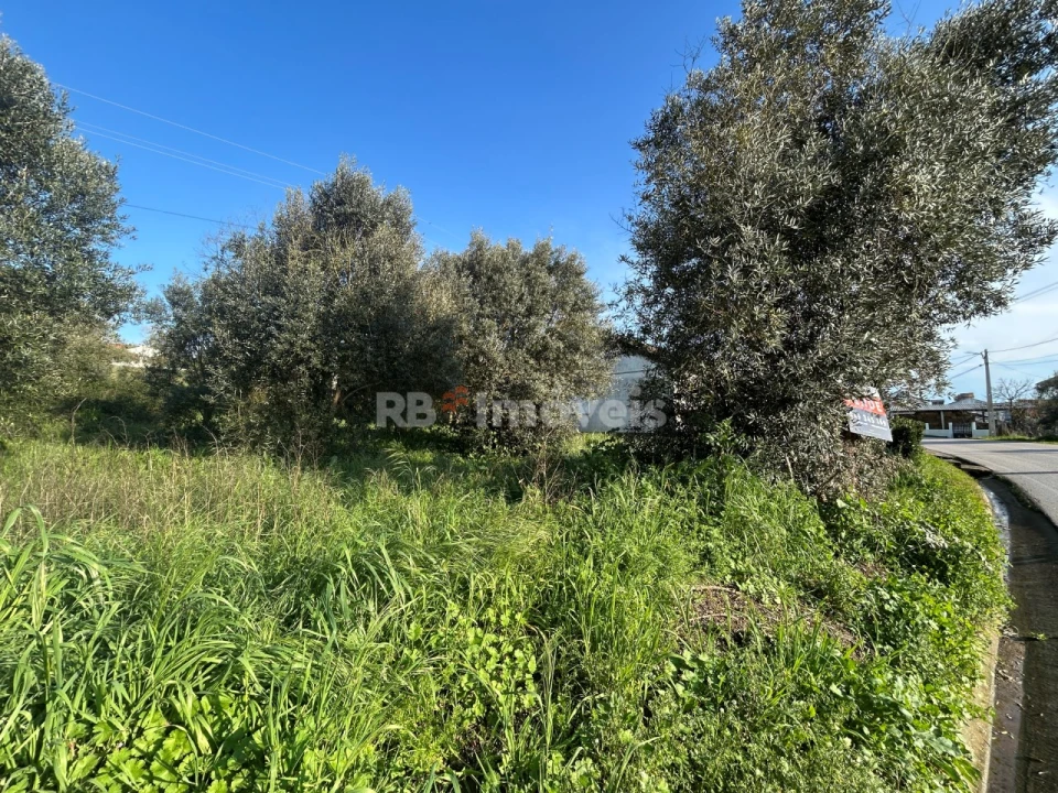 Terreno para Venda em São Pedro de Tomar Foto 31