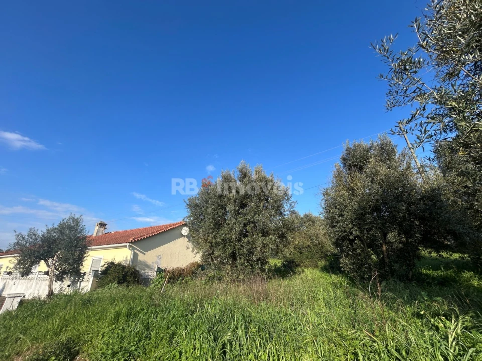 Terreno para Venda em São Pedro de Tomar Foto 32