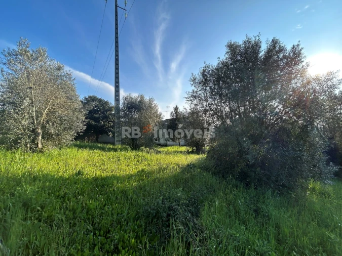 Terreno para Venda em São Pedro de Tomar Foto 5