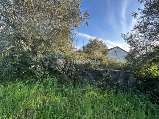 Terreno para Venda em São Pedro de Tomar Foto 7