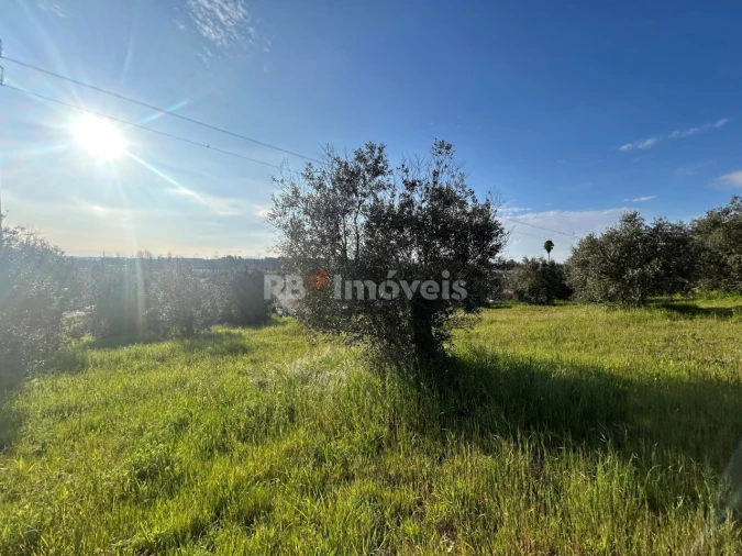 Terreno para Venda em São Pedro de Tomar Foto 10