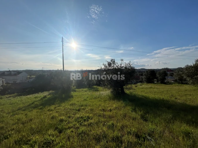 Terreno para Venda em São Pedro de Tomar Foto 2