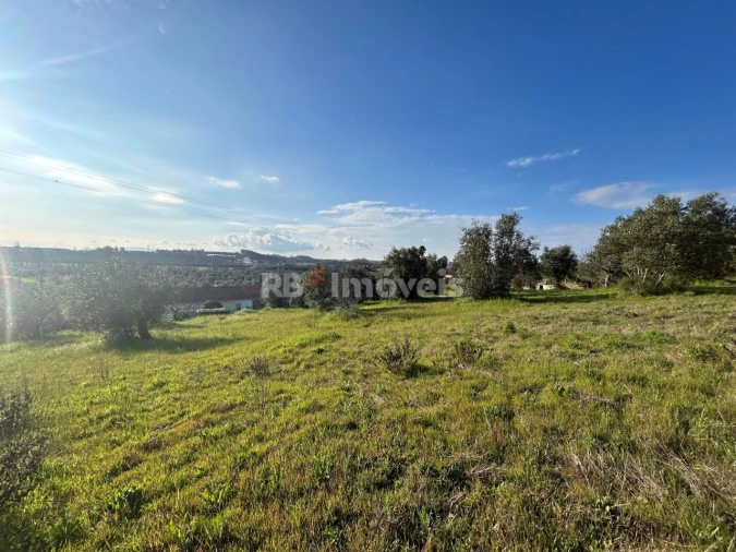 Terreno para Venda em São Pedro de Tomar Foto 4