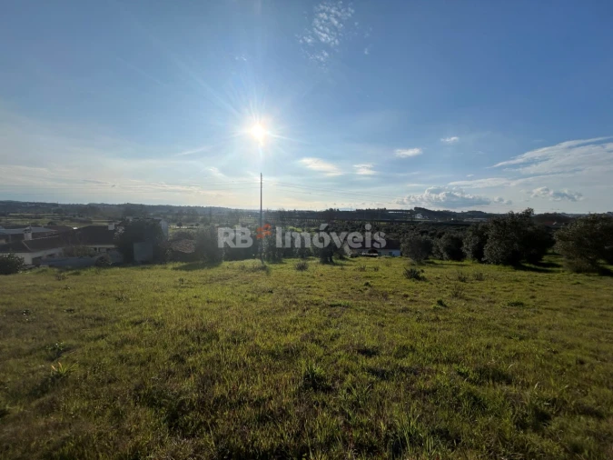 Terreno para Venda em São Pedro de Tomar Foto 11
