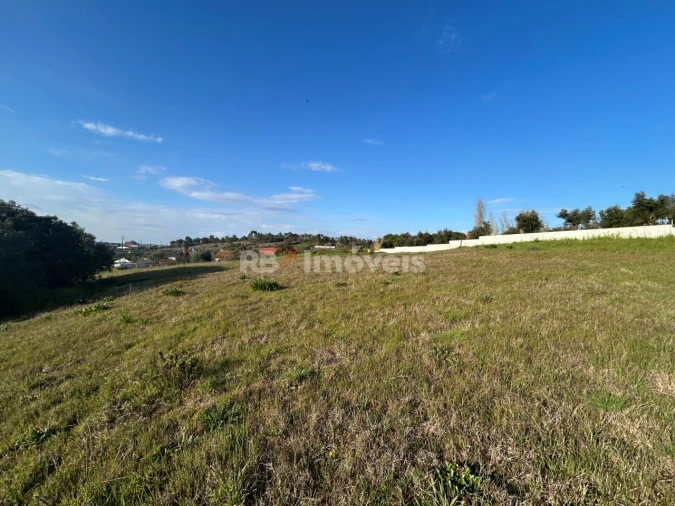 Terreno para Venda em São Pedro de Tomar Foto 12