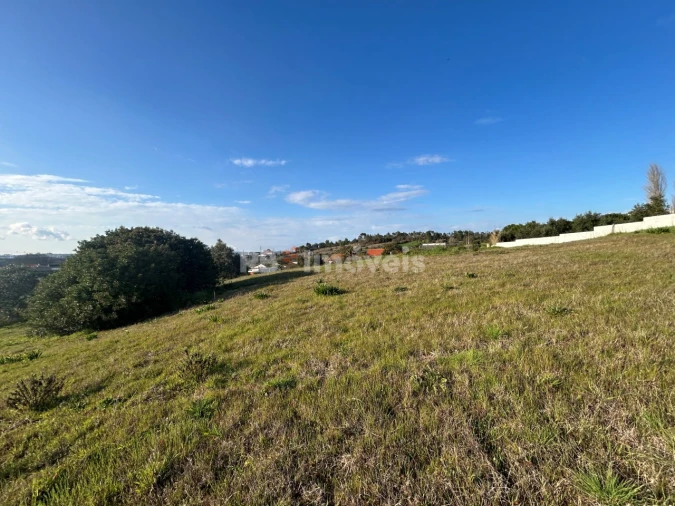 Terreno para Venda em São Pedro de Tomar Foto 13