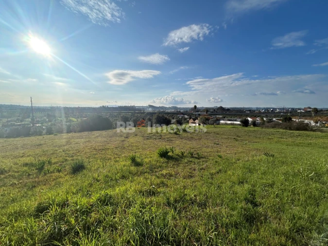 Terreno para Venda em São Pedro de Tomar Foto 17