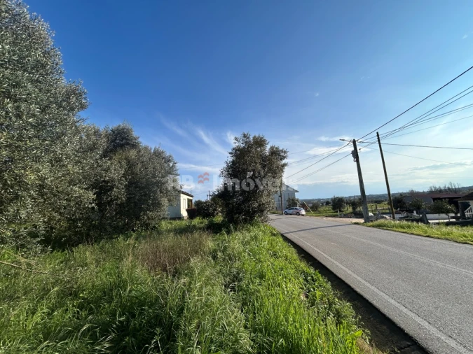 Terreno para Venda em São Pedro de Tomar Foto 27