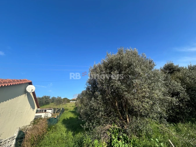 Terreno para Venda em São Pedro de Tomar Foto 29