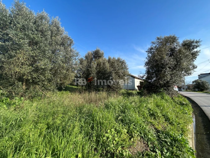 Terreno para Venda em São Pedro de Tomar Foto 30