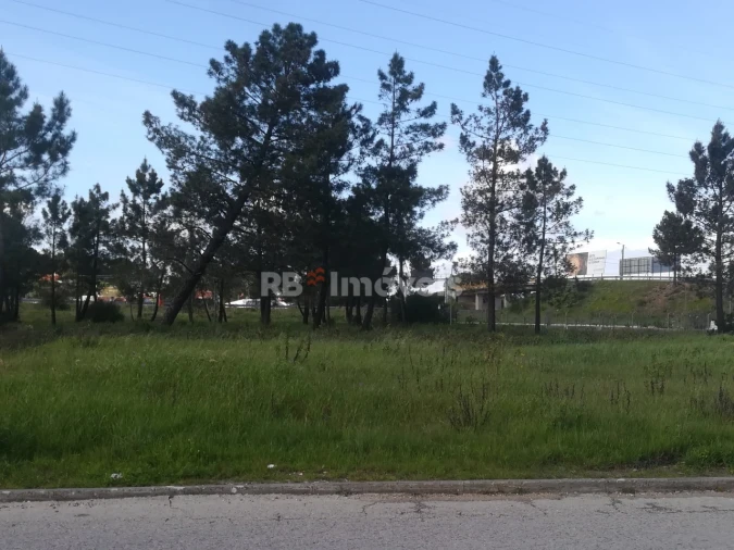 Terreno para Venda em Nossa Sra de Fatima Foto 3