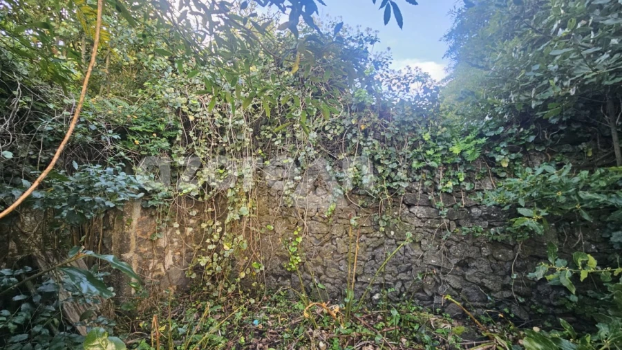 Terreno para Venda em Fajã de Baixo Foto 6