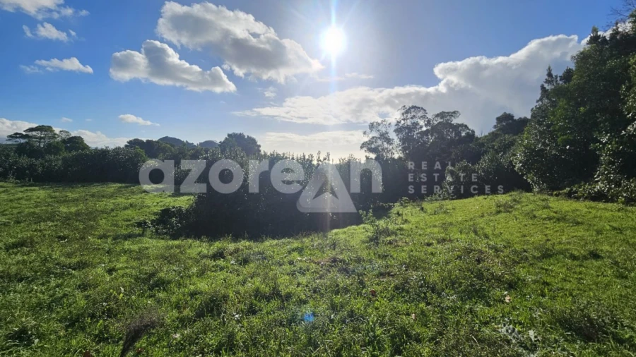 Terreno para Venda em Fajã de Baixo Foto 13
