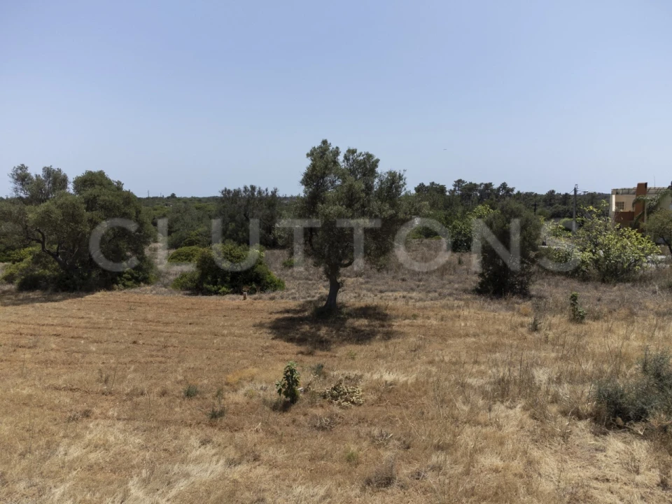 Terreno para Venda em Almancil Foto 30