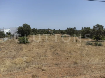 Terreno para Venda em Almancil