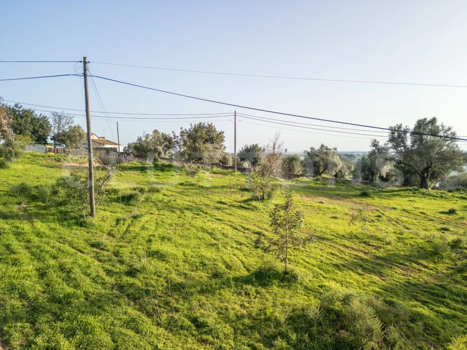 Terreno para Venda em Boliqueime Foto 7