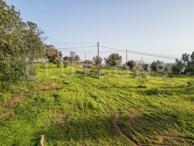 Terreno para Venda em Boliqueime Foto 6