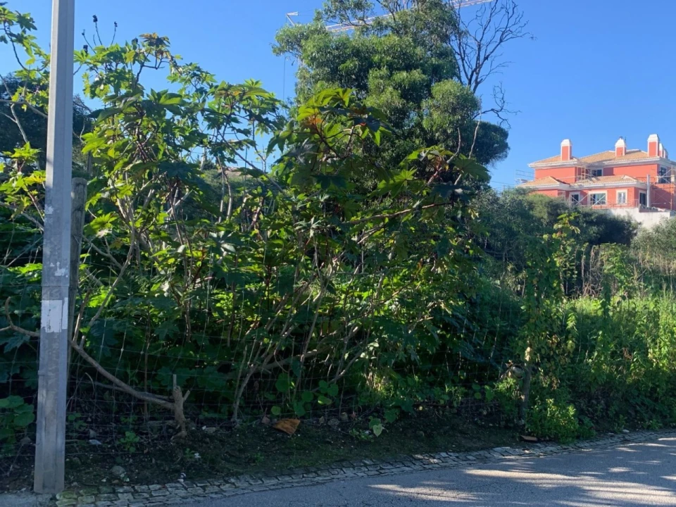 Terreno para Venda em Cascais e Estoril Foto 11