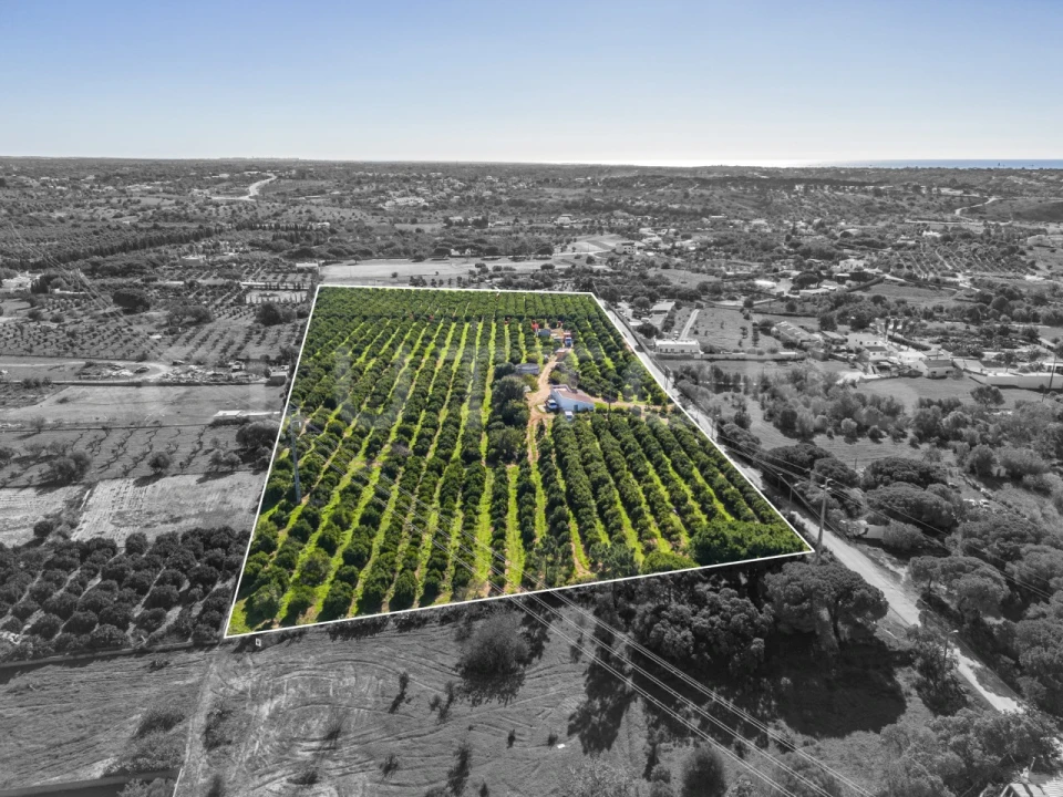 Terreno para Venda em Quarteira Foto 6