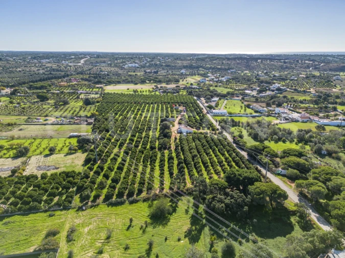 Terreno para Venda em Quarteira Foto 7
