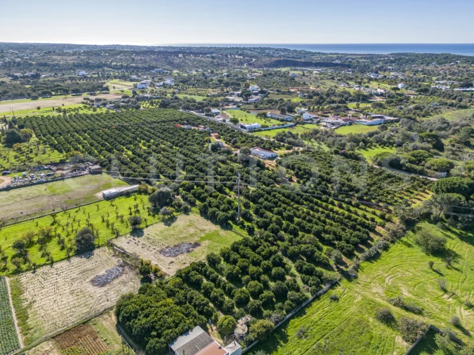 Terreno para Venda em Quarteira Foto 12