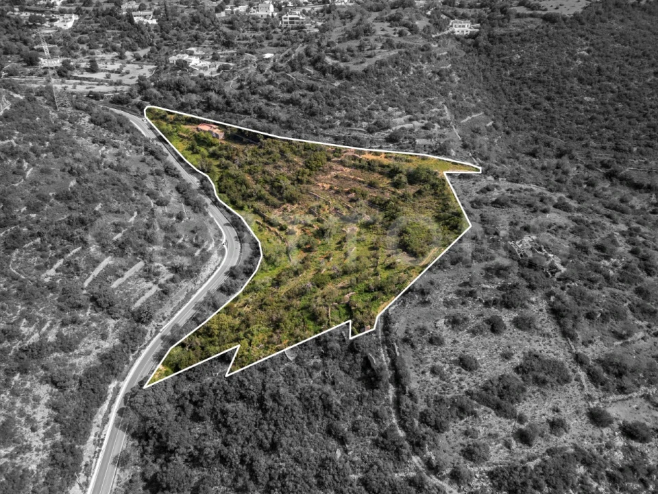 Terreno para Venda em Conceição e Estoi Foto 9