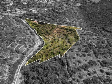 Terreno para Venda em Conceição e Estoi