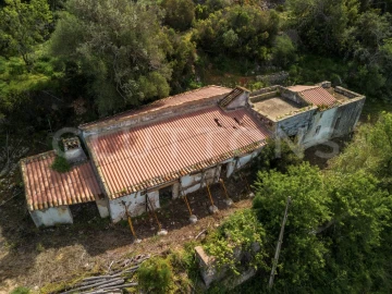 Terreno para Venda em Conceição e Estoi