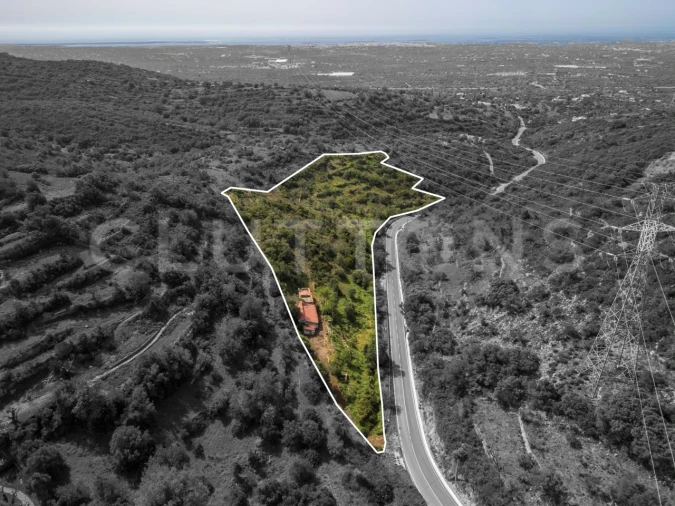 Terreno para Venda em Conceição e Estoi Foto 3