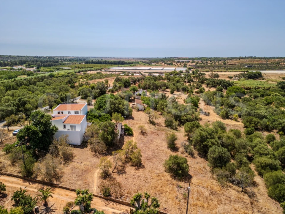 Terreno para Venda em Almancil Foto 3