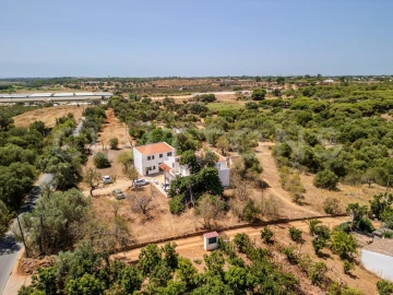 Terreno para Venda em Almancil