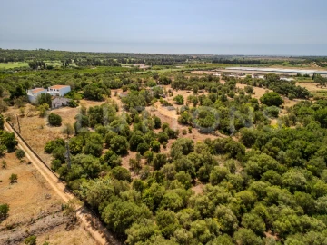 Terreno para Venda em Almancil