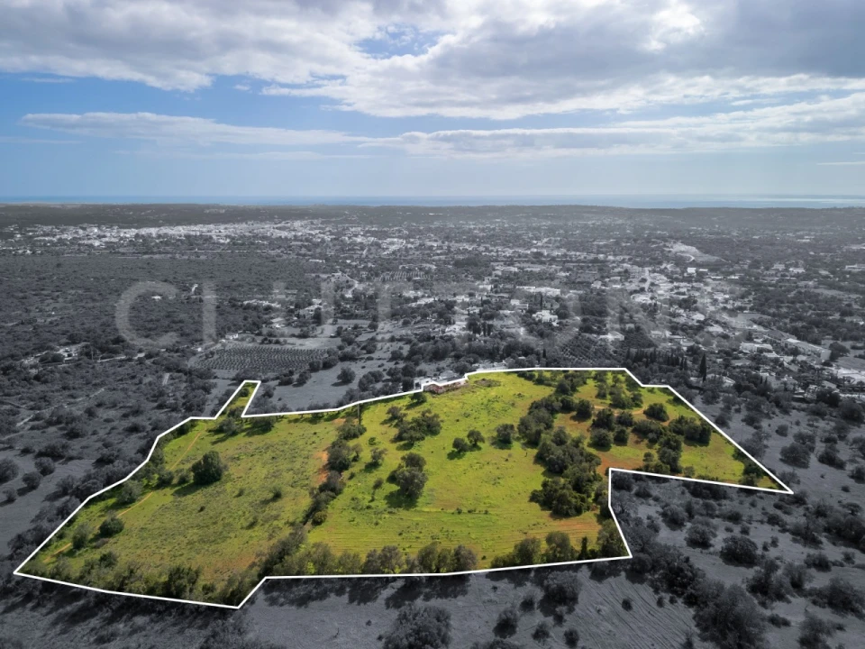 Terreno para Venda em Almancil Foto 2