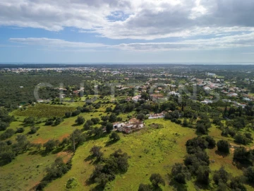 Terreno para Venda em Almancil