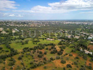 Terreno para Venda em Almancil