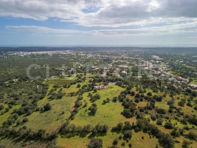 Terreno para Venda em Almancil Foto 15