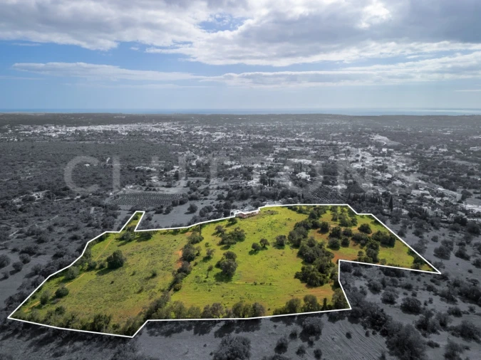 Terreno para Venda em Almancil Foto 2